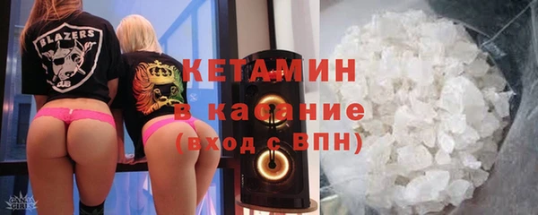прущие грибы Новозыбков