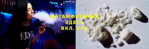 прущие грибы Новозыбков