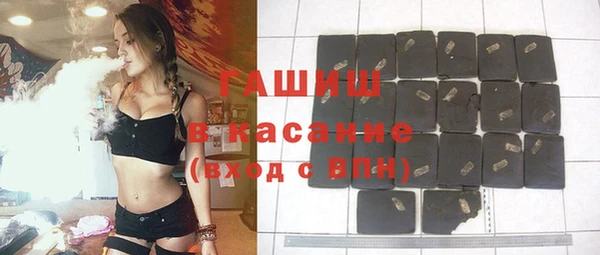 прущие грибы Новозыбков