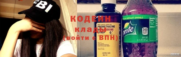 прущие грибы Новозыбков