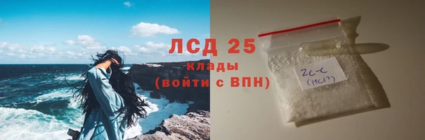 прущие грибы Новозыбков
