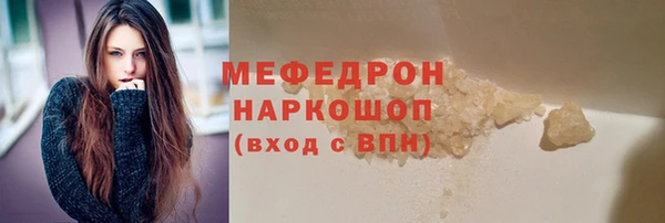 прущие грибы Новозыбков
