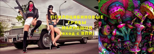 молекула духа Нефтегорск