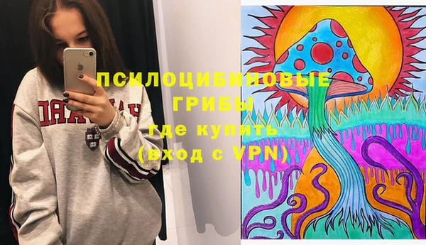 прущие грибы Новозыбков