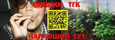 гидра Донецк