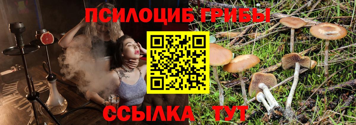 Галлюциногенные грибы мухоморы Барабинск