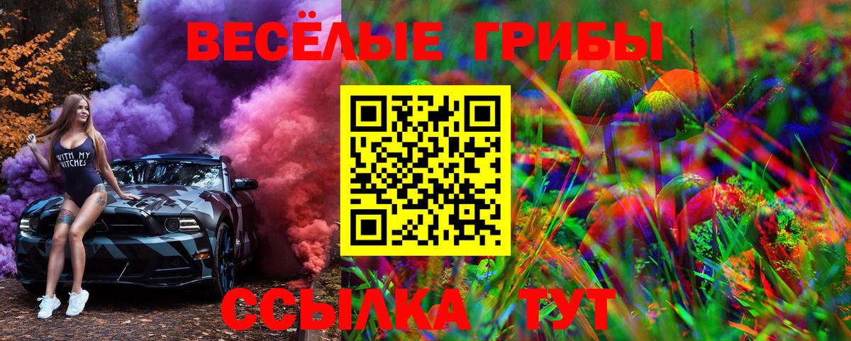 Псилоцибиновые грибы мицелий  Барабинск 